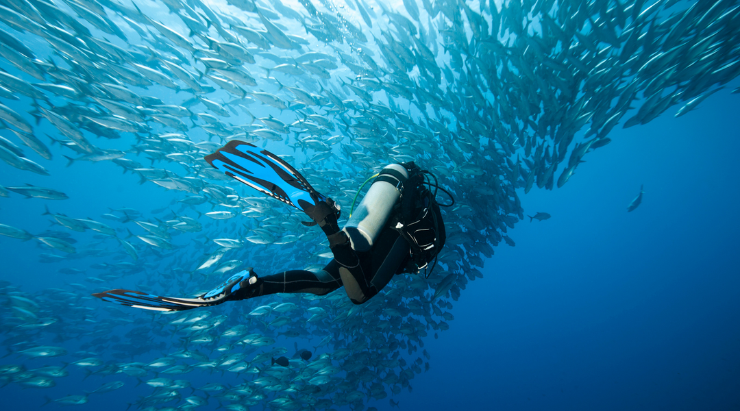 Water resistance guide