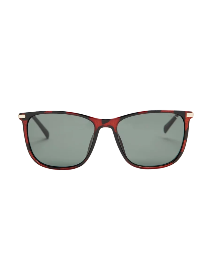 Nautica Square Tortoise Mens Sunglasses - N3660SP.206.56/16