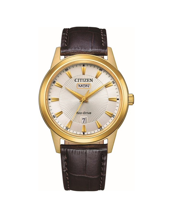 Citizen Eco-Drive Silver Dial Gents Watch - AW0102-13A