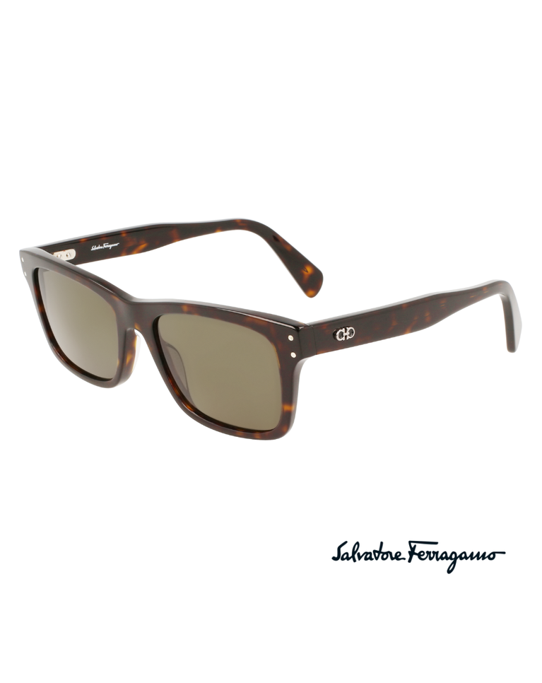 Salvatore Ferragamo Tortoise Men's Sunglasses - SF1039S/54/TORTOISE